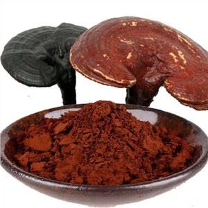 Rozbitý prášek spor Ganoderma