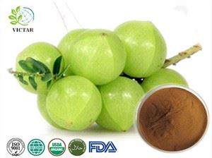 Extrakt Amla