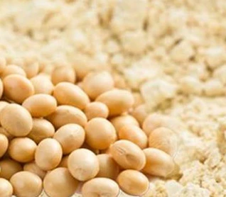 Proč je sójový protein při zpracování masa nepostradatelný?